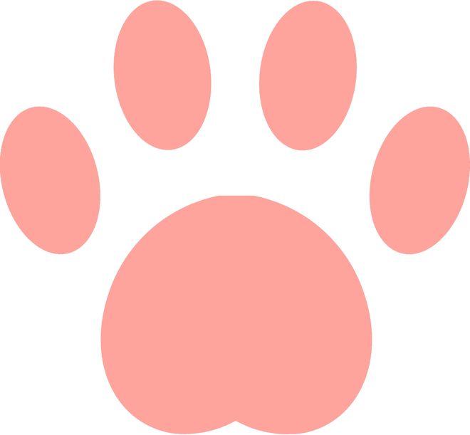 豪取5连胜！杜兰特25+6，谢泼德12+7火箭第一，乌度卡全力冲第四
